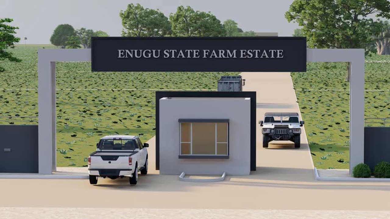Agricultural initiatives in Enugu State